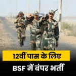 BSF HC ASI Job Vacancy